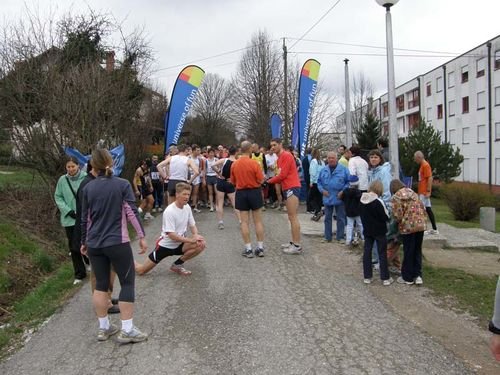normal Panovec13